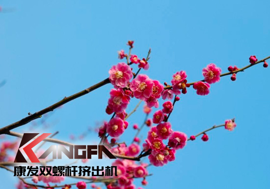 春光明媚,春意盎然!康发JSH系列双螺杆造粒机组集中发货