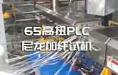 65高扭+PLC，尼龙加纤双螺杆造粒机试机